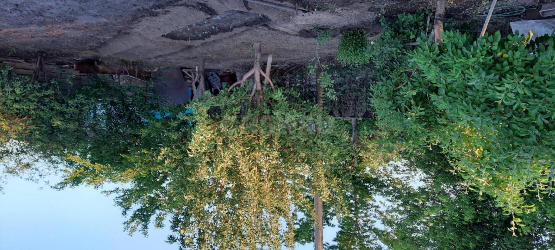 Продам сад район 2 го участка, 6 школы. - Орск