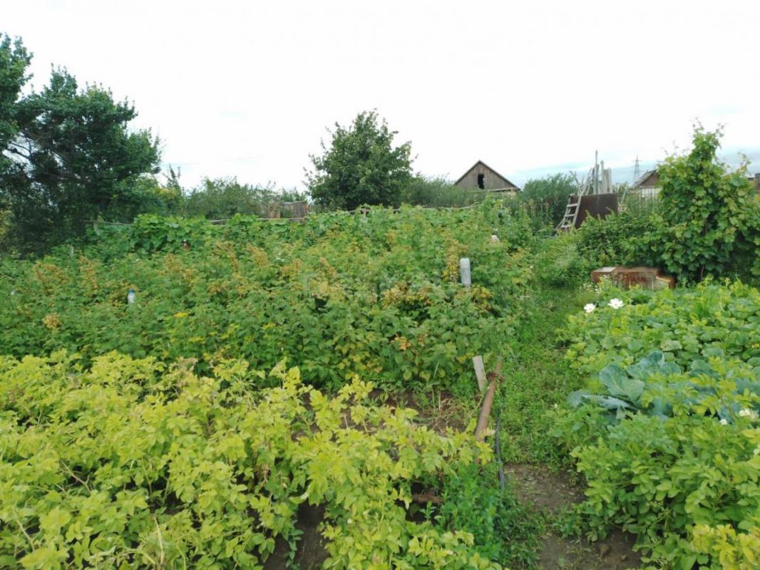 Продам сад 9,5 соток в собственности, СНТ, по ул. - Орск