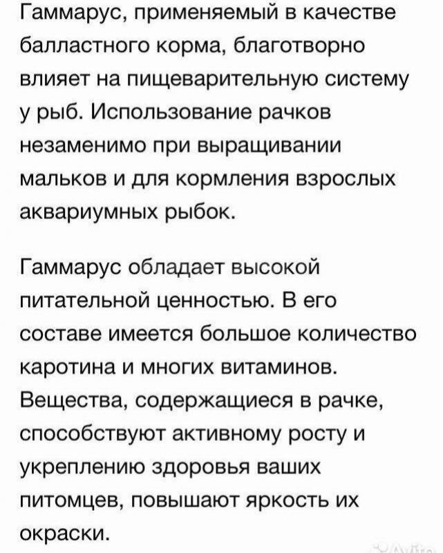 Тропический гаммарус,на развод колония - Орск