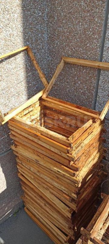 Продам сушь( рамка Дадан) для пчел. - Орск