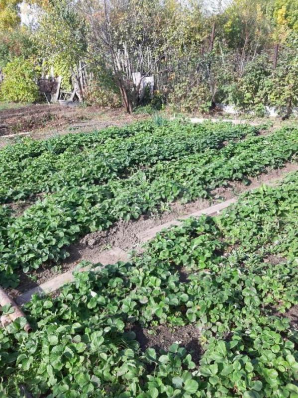 Продается участок, площадью 7 соток, расположенный в районе остановки «2-я Садовая». - Орск