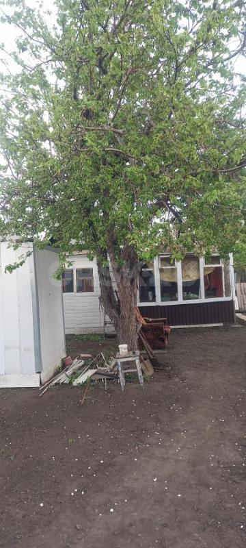 Продам сад в районе зеленхоза,сады ЮУМЗ,РЯДОМ АВТОБУСНАЯ ОСТАНОВКА,сад огороде,подъезд отличный,все - Орск