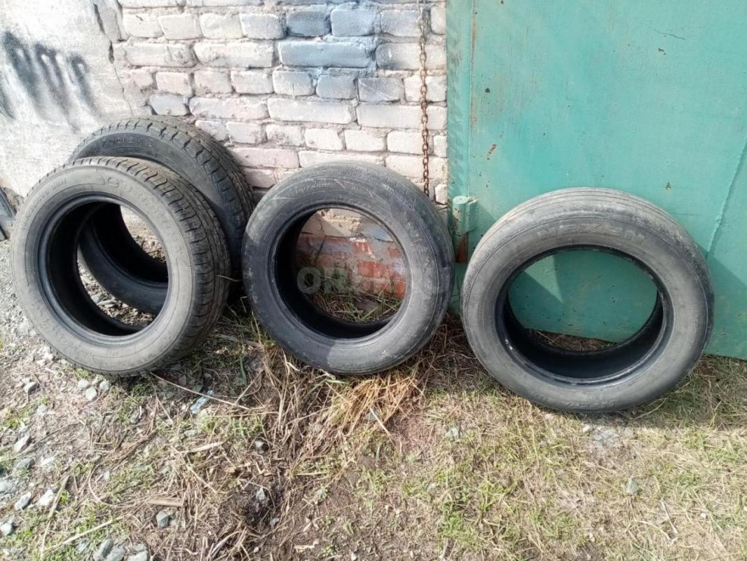 Р15(185-65)2 летних баллона один тунга зодиак2 и белшина вроде - 1000руб. - Орск