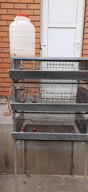 Продам клетку для перепелов. - Орск