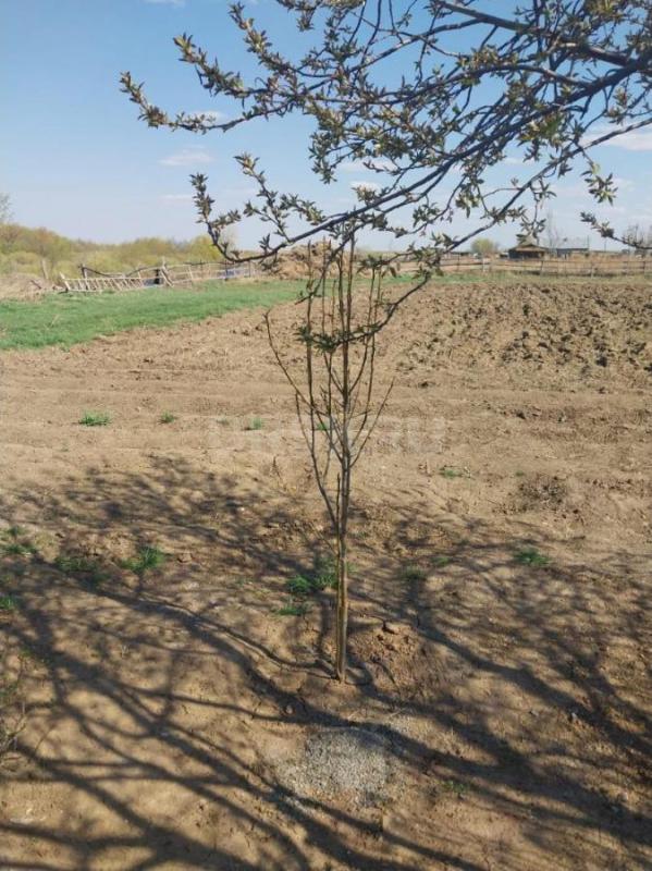 Продам дом,из шлакоблоков ,4 - комнаты, общая площадь 64 квадратных метров, плюс есть просторная  ве - Орск
