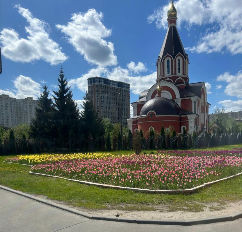 Ваш ребенок поступает в Москву? - Новотроицк