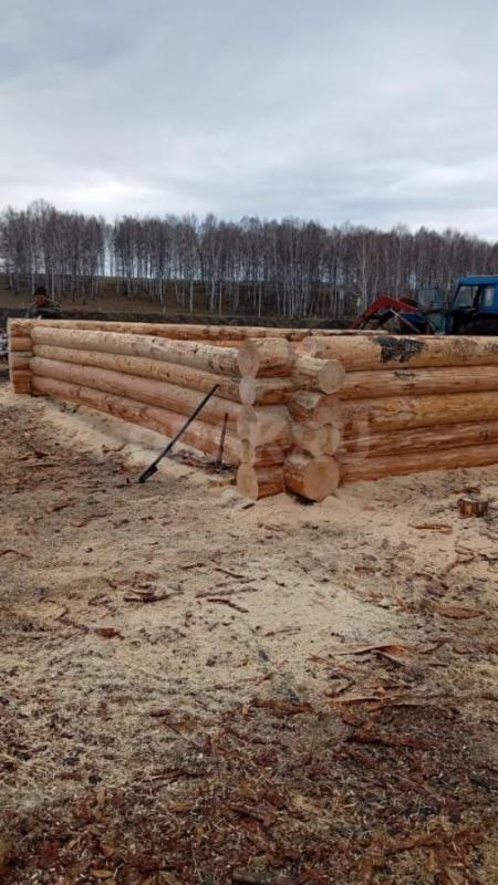 Срубы из сосны ручной рубки любых размеров под заказ. - Орск