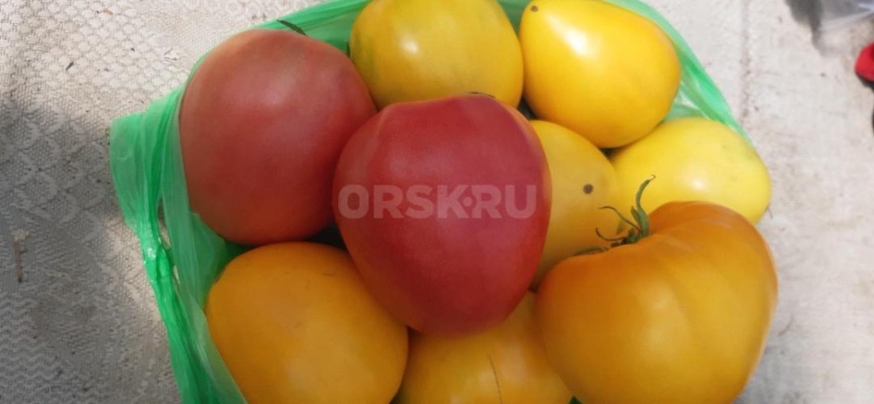 Домашние помидоры бычье сердце розовые и жёлтые. - Орск