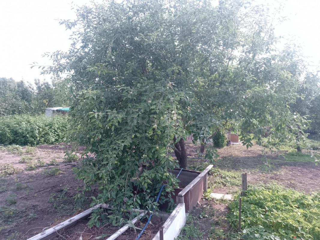 Продам садовый участок за маг. - Орск