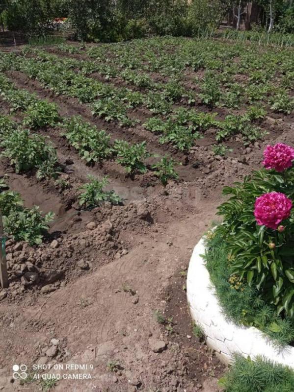 СРОЧНО ПРОДАМ САД в районе ЗЕЛЕНХОЗ ст. - Орск