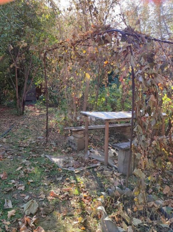 Продам садовый участок 12 соток попов угол, есть виноград, яблоки, слива и еще много разных насажден - Орск