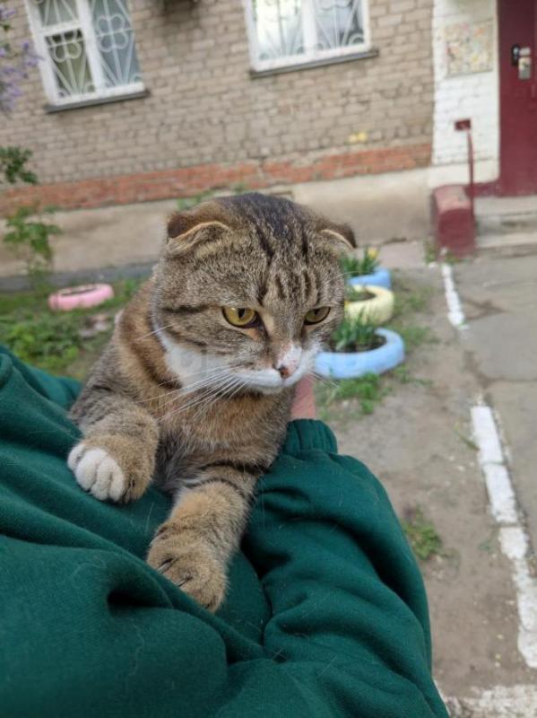 Добрый красавчик! - Орск