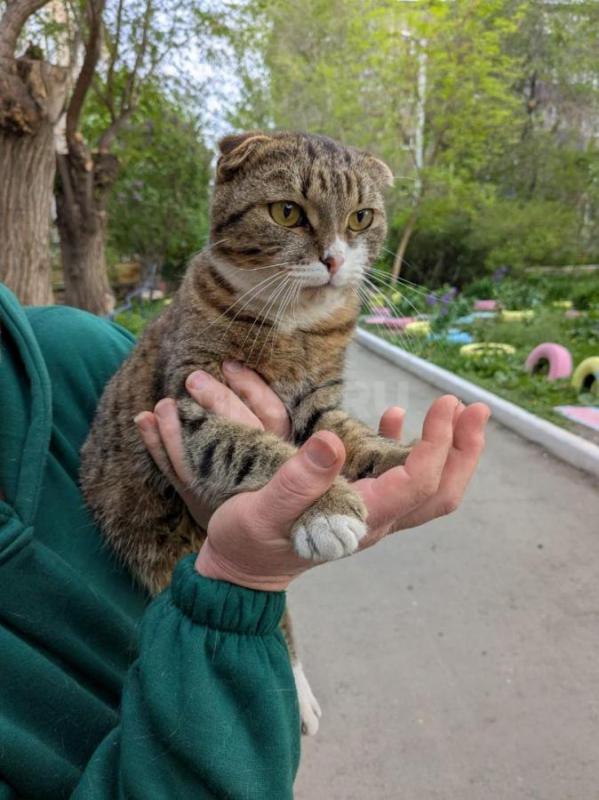 Добрый красавчик! - Орск