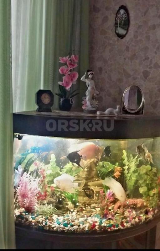 Угловой аквариум с тумбочкой, объем 160 литров, с рыбками (12 штук), компрессором для воздуха, очист - Орск