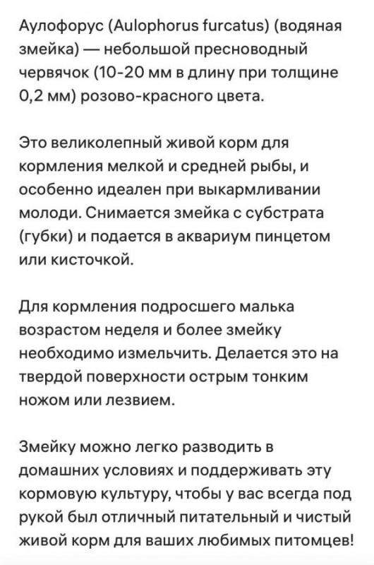 аулофорус колония на губке в контейнере,Заинтересованым могу скинуть видио - Орск