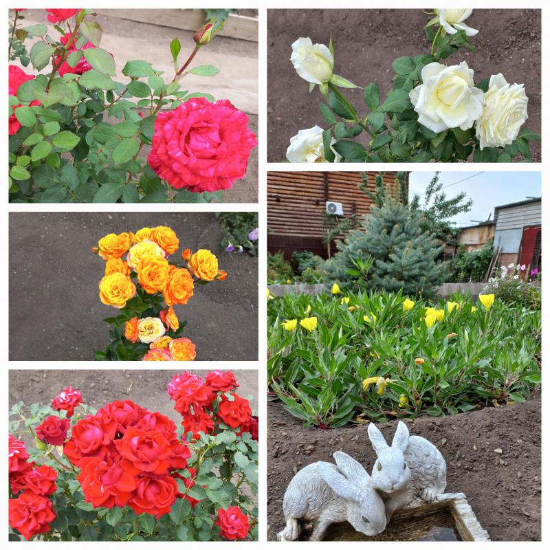 Продам дачу СНТ "УТЁС " в 10 минутах езды от города. - Новотроицк