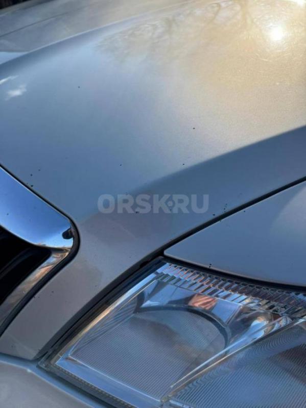 Skoda Octavia 2012 года 

Коротко о главном:

Год выпуска: 2012

Пробег: 176 000 км

Коробка - Орск