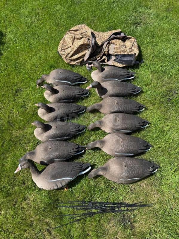 Продам 10 комплектов чучел белолобого гуся North Way ALFA. - Орск