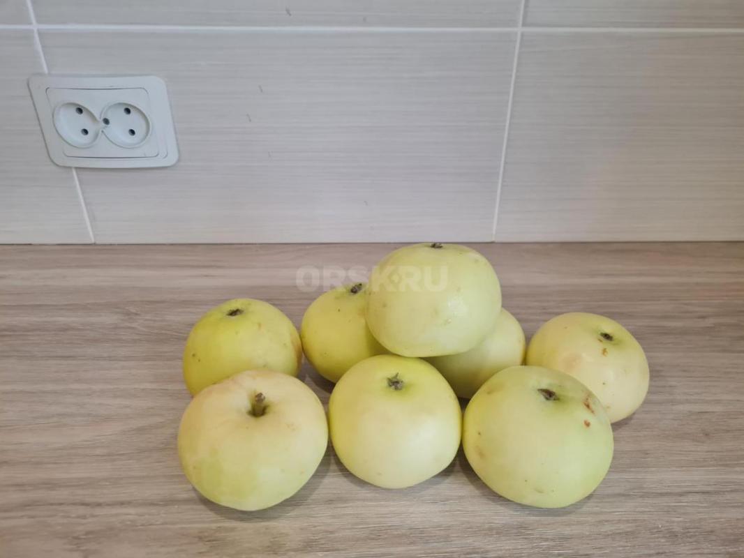 Продам саженцы яблони  &amp;quot;Макинтош&amp;quot;  зимний сорт, хранится до апреля. - Орск