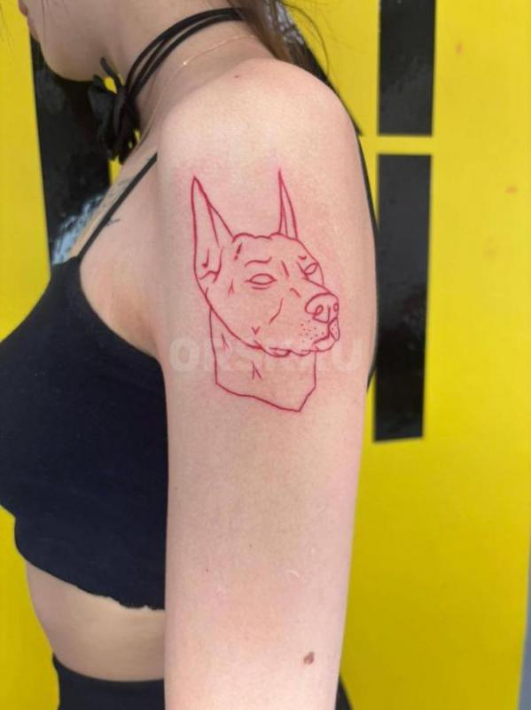 Пpиветик, меня зовут Лола, я тату-мастеp. - Орск