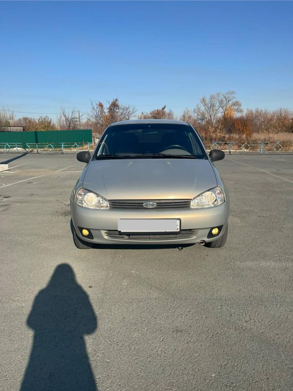 Продам калину в хорошем состоянии, все об авто при осмотре. - Новотроицк