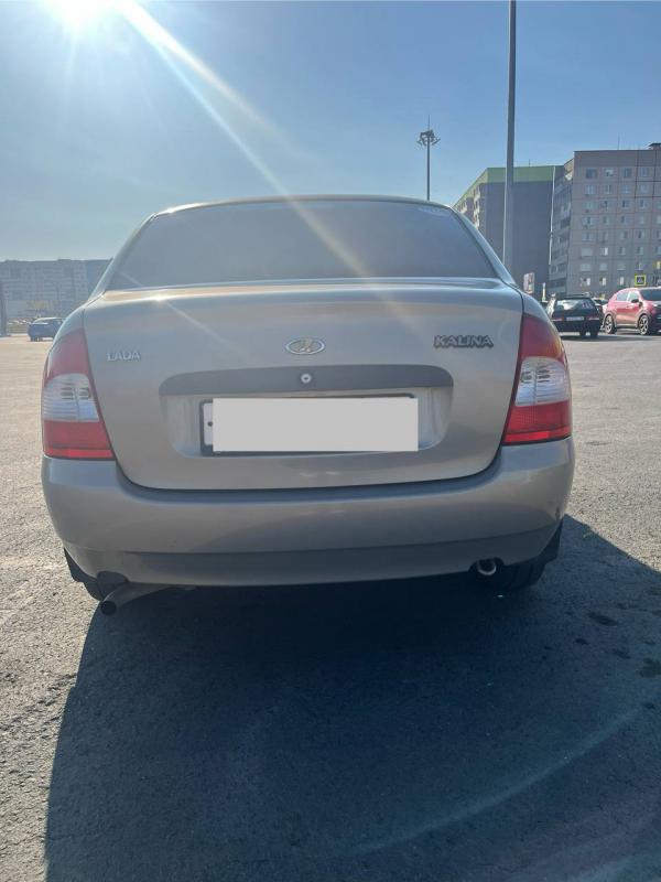 Продам калину в хорошем состоянии, все об авто при осмотре. - Новотроицк