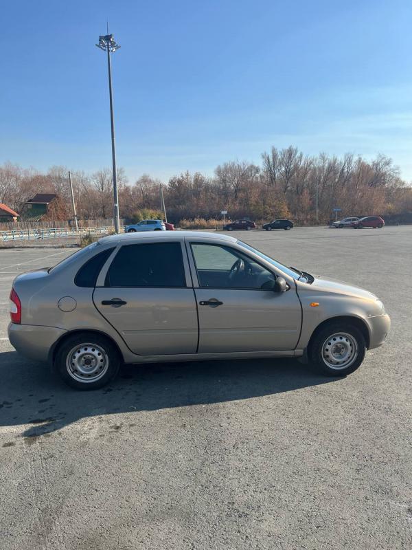 Продам калину в хорошем состоянии, все об авто при осмотре. - Новотроицк