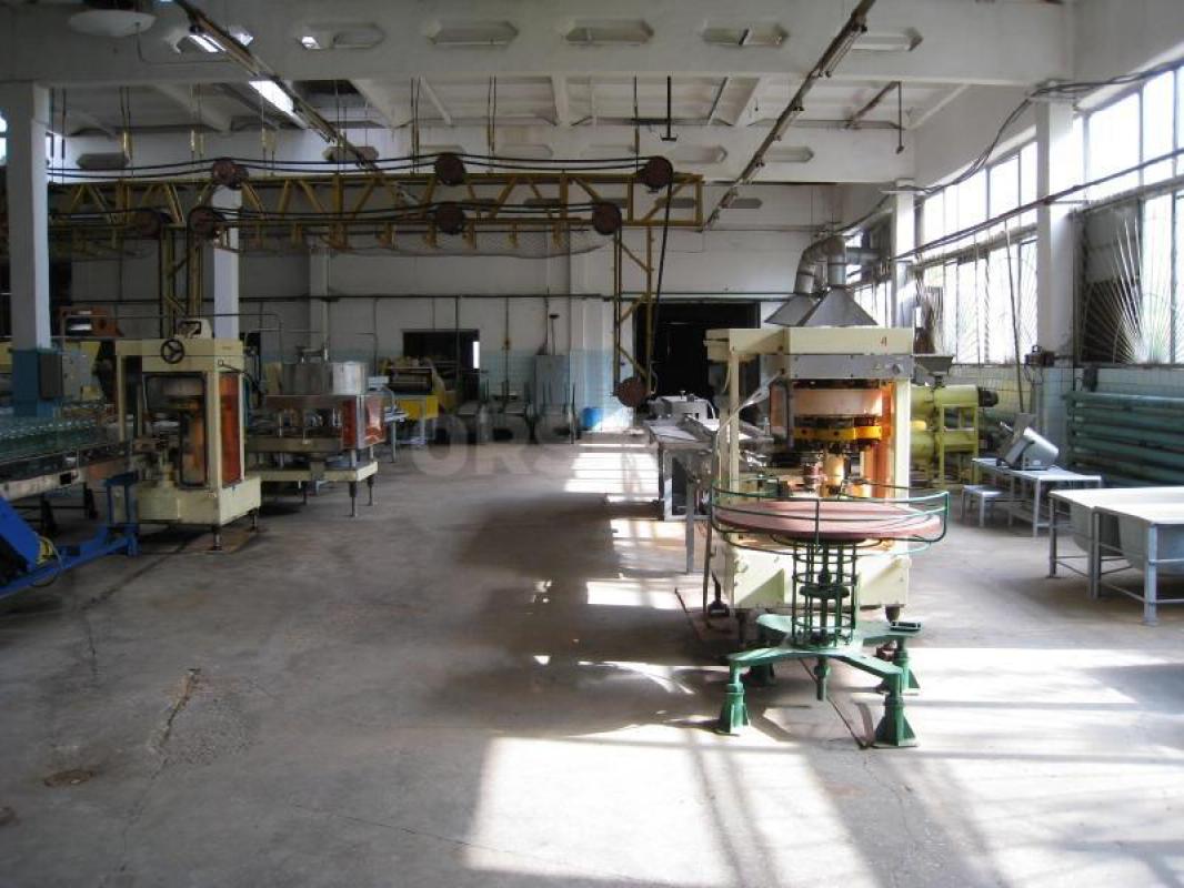 Мини завод в черте города из производственных и складский помещений свободного назначения (ООО) - Орск