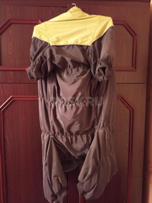 Продам комбинезон зимний, тёплый на крупную собаку. 2500р., торг. - Орск