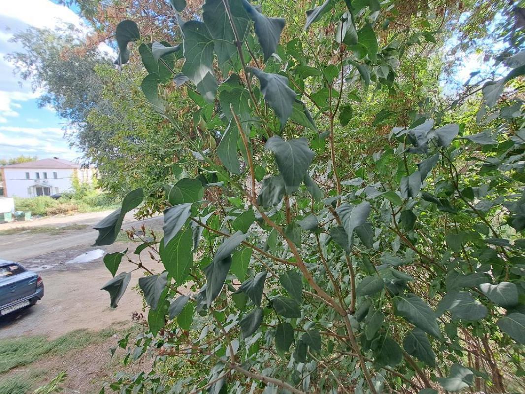 СРОЧНОЕ ПРЕДЛОЖЕНИЕ!!!!,
Двушка по цене 1 ком. - Орск