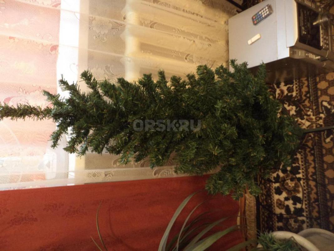 Ёлка. 1000р. 1м. - Орск