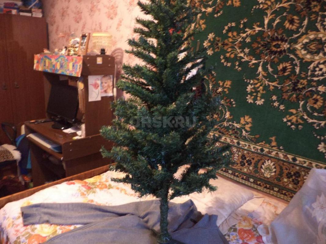 Ёлка. 1000р. 1м. - Орск