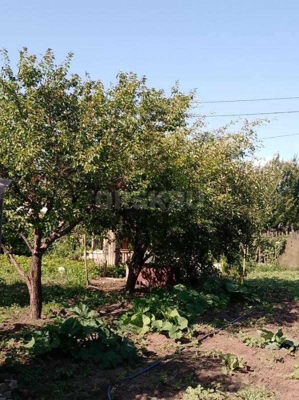 Продам садовый участок за маг. - Орск