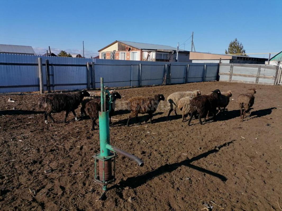 Продам! - Орск