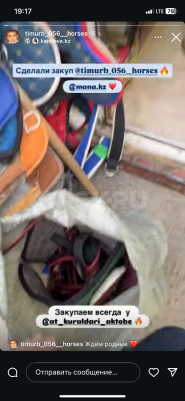 Продам овец, ярок 
Курдючные, обычные - Орск