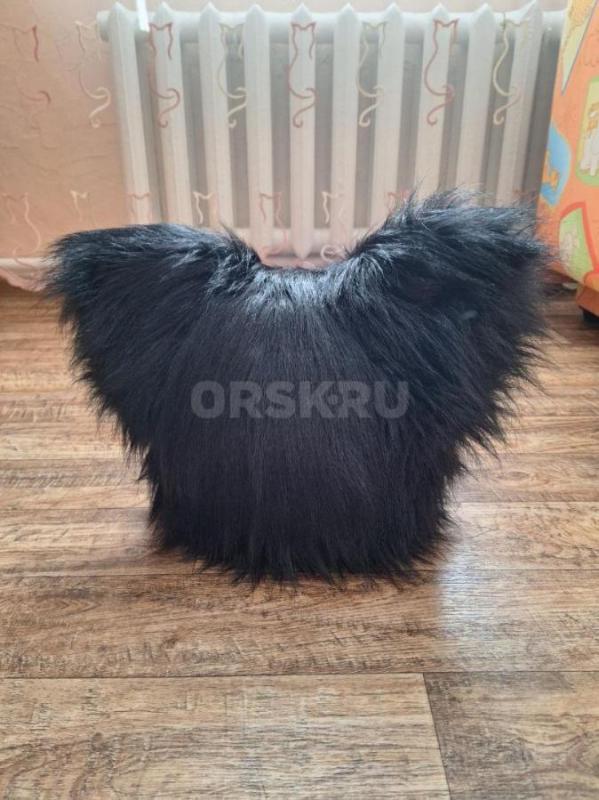 Фурсьют (Фурхед) кошки в отличном состоянии. - Орск