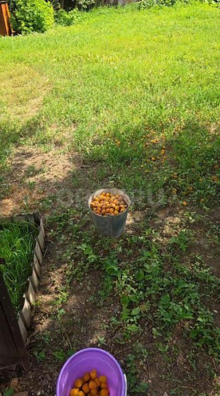 Продам участок в центре города, ровной, правильной формы. - Орск