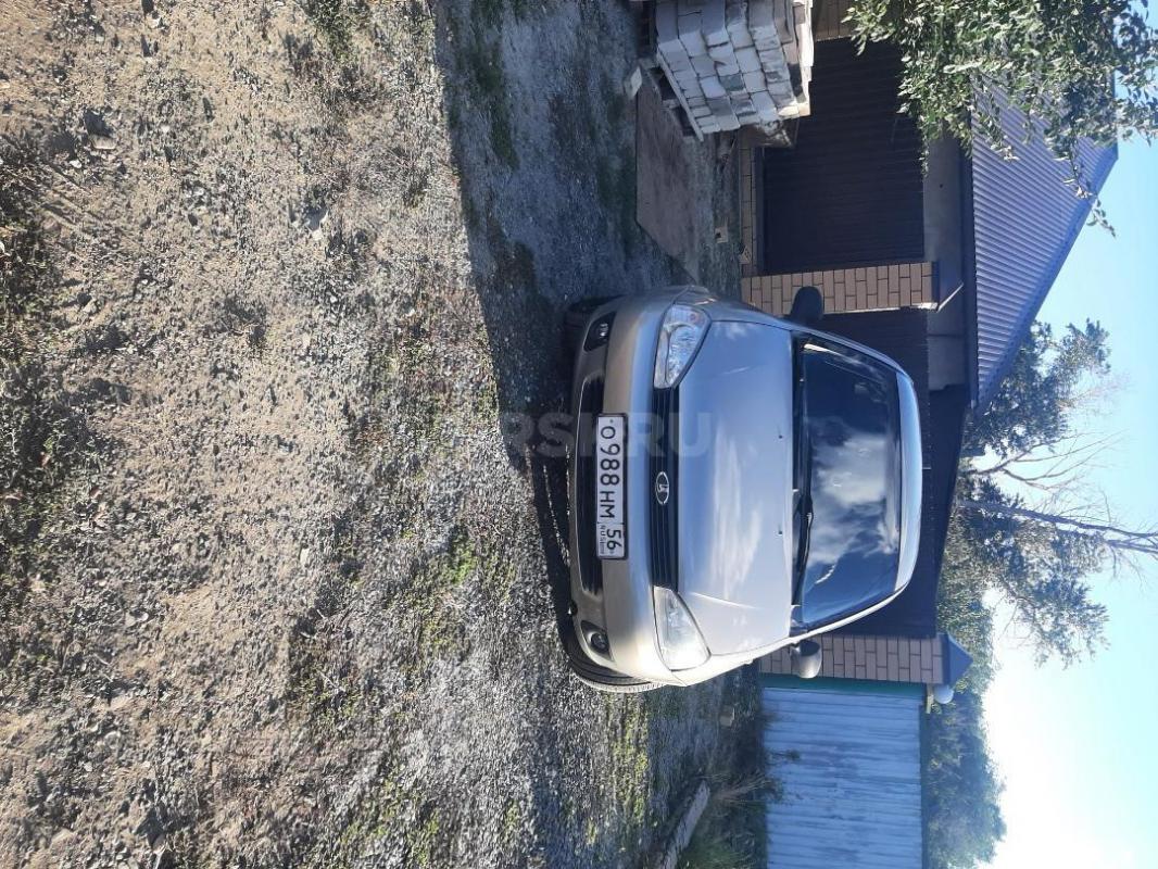 Продам калину . - Орск