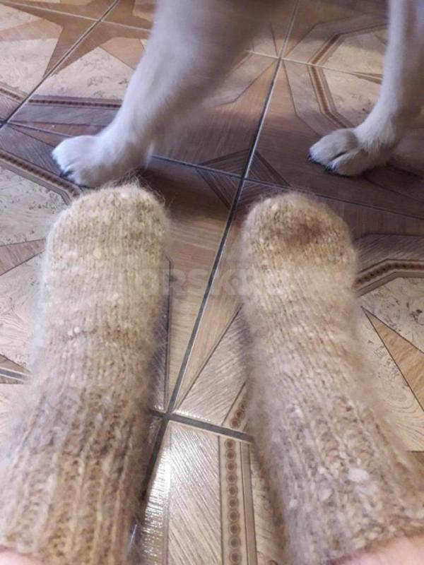 Изделия из пуха собак: варежки, носки, пояс, наколенники, напульсник. - Орск