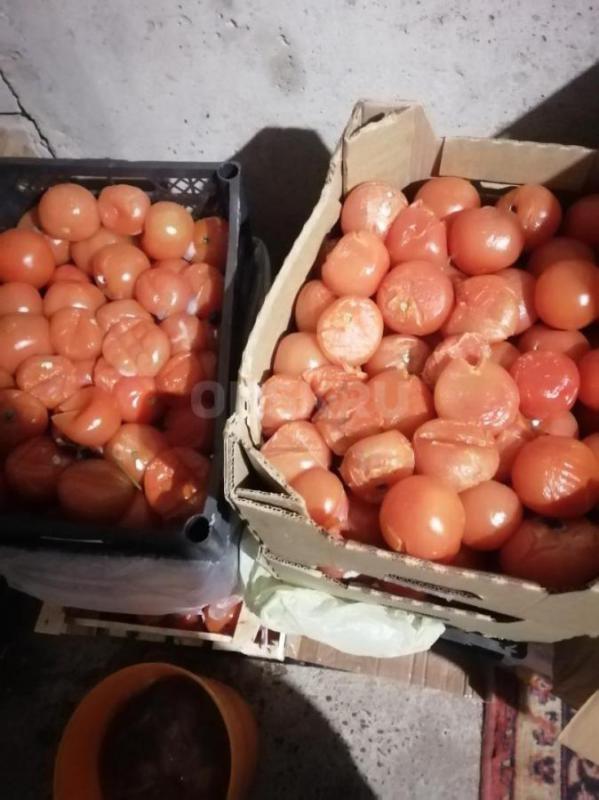 Капусту и картошку на корм животным - Орск