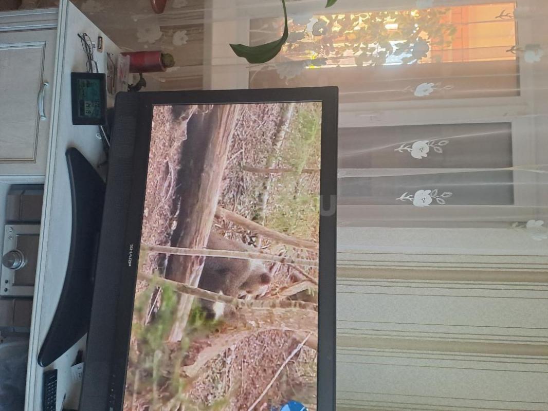 Телевизор SHARP  б/у в хорошем рабочем состоянии диагональю 110см - Орск