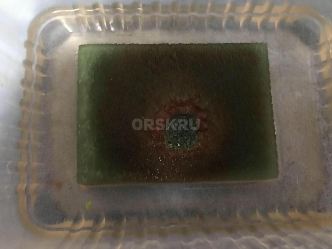 Аулорофорус корм для рыбок,на разогнаной губке.500₽ - Орск