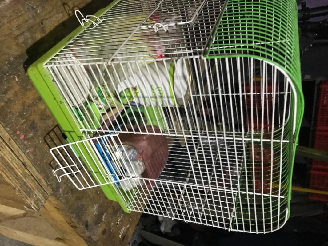 Клетка 1) для попугая 2 )для мелкого грызуна. - Орск