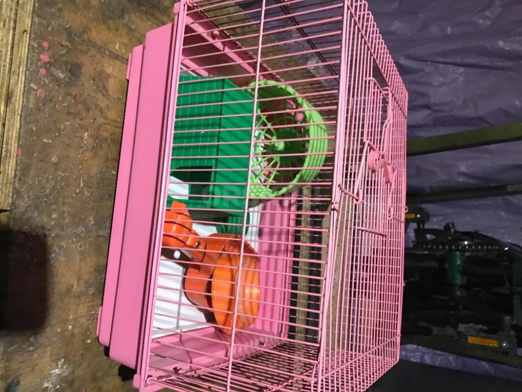 Клетка 1) для попугая 2 )для мелкого грызуна. - Орск