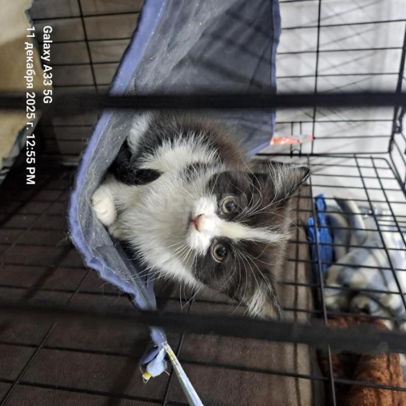 На работу в АНО ДЖУЛЬБАРС. - Орск