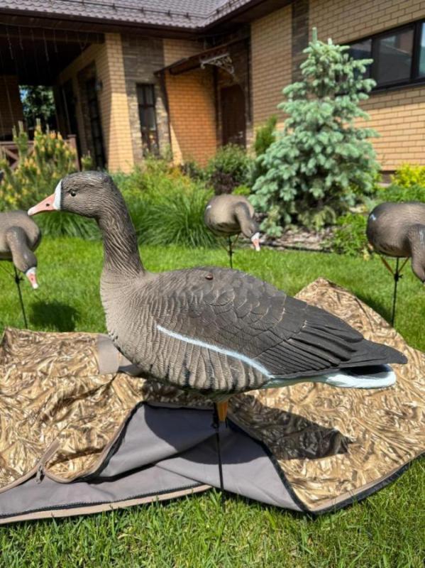 Продам 10 комплектов чучел белолобого гуся North Way ALFA. - Орск