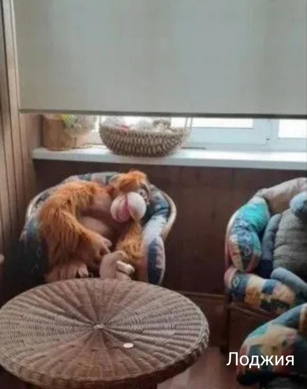 Продам срочно! - Новотроицк