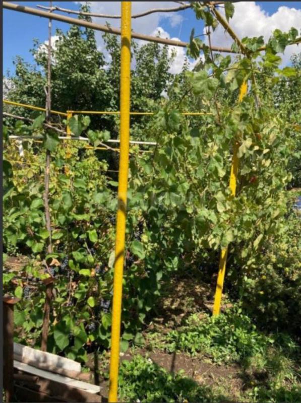 Продается сад на садах №8 с домиком. - Новотроицк