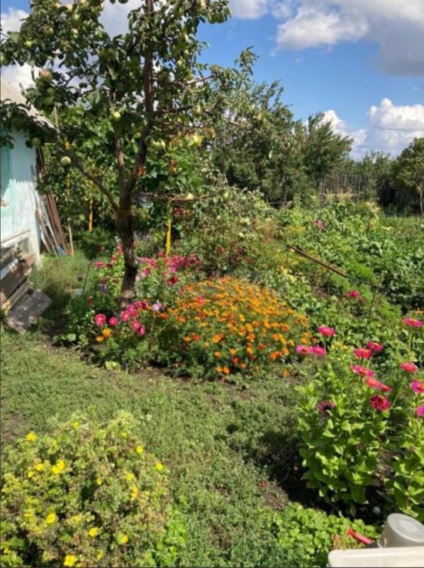 Продается сад на садах №8 с домиком. - Новотроицк