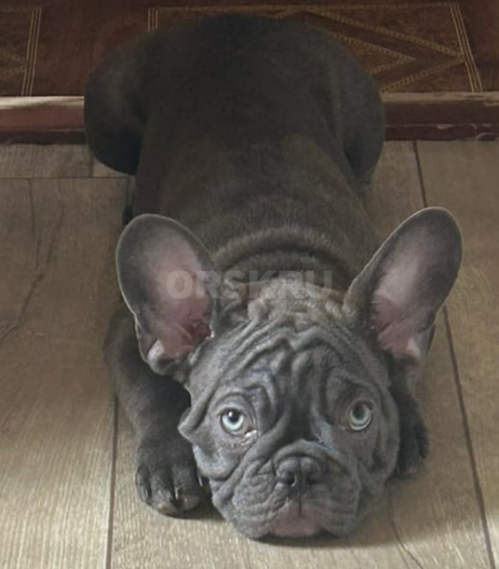 Вязка. - Орск